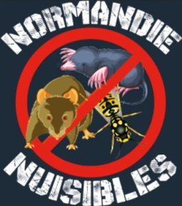 NORMANDIE TAUPES